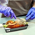 雲林休息站美食田覓好食國道最美DSC03864-2.jpg