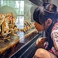 2025台中米其林星級外帶年菜饗海鮮-澎派松葉蟹六人合菜，在家輕鬆品嘗美味星級料理DSC00772-2.jpg