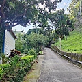 台中新社景點橘子紅了採果AnyConv.com__2399e912-bb1f-4658-a8cf-b5fb8543804f.jpg