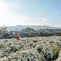 DSC02266-2.jpg