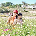 DSC02311-2_副本.jpg