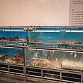 尋鮮坊彰化最鮮現撈活體海鮮火烤櫻桃鴨DSC02702-2.jpg