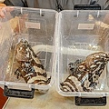 尋鮮坊彰化最鮮現撈活體海鮮火烤櫻桃鴨DSC02954-2.jpg