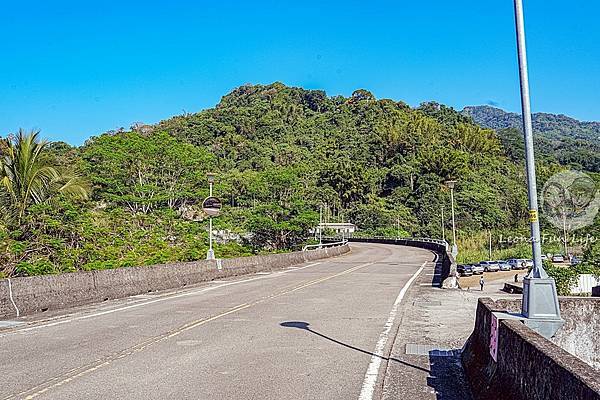 台中免費景點太平苗圃落羽松林秘境享受森林浴美照拍不完DSC07071-2.jpg
