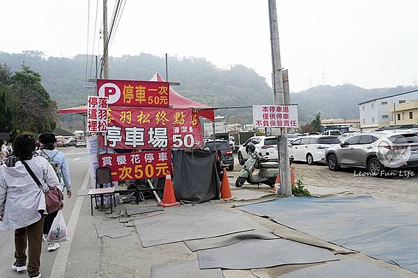 2025台中泰安派出所櫻花季DSC01475.JPG