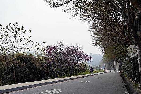 2025台中泰安派出所櫻花季DSC01438.JPG