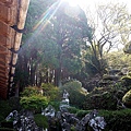 麗星郵輪探索星號全攻略｜基隆直航日本鹿兒島.熊本.那霸6天5夜行程、價格、船上美食一次看！DSC05641.JPG