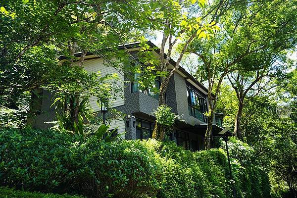 親子泡湯新選擇！觀景溫泉家庭套房開箱-山景、綠意、美人湯一次擁有大板根森林度假酒店DSC01040-2.jpg