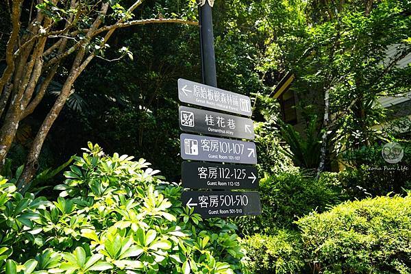 親子泡湯新選擇！觀景溫泉家庭套房開箱-山景、綠意、美人湯一次擁有大板根森林度假酒店DSC01039-2.jpg