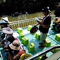 台南景點4草綠色隧道生態之旅親子遊DSC02679.JPG