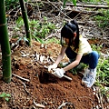 埔里桃米農事體驗推薦｜帶小孩一起挖筍、煮筍湯、玩自然，親子最愛的生態農村行程DSC02117.JPG