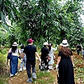 【南投埔里二日遊推薦】親子DIY體驗×生態農事×在地美食，一起做香氛蠟燭、音樂盒，輕鬆玩遍埔里！DSC02110.JPG