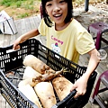 【南投埔里二日遊推薦】親子DIY體驗×生態農事×在地美食，一起做香氛蠟燭、音樂盒，輕鬆玩遍埔里！DSC02150_副本.jpg