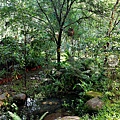 埔里桃米生態親子民宿水泥角DSC02052.JPG