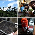 親子景點南投魚池下午茶和果森林小茶師DIY旅遊行程page1.jpg