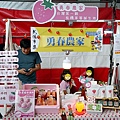 南投活動假日市集歷史建築武德殿勇春農家草莓DSC07289.JPG