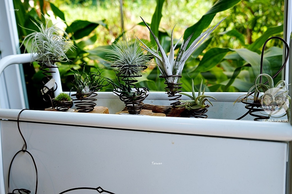 沙鹿最美貨櫃咖啡廳兔子採櫻桃 -走進綠意植栽秘境，必點鬆餅、夢幻氣泡飲DSC08658.JPG