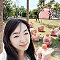 台南安平活動卡皮胖拉出沒注意IMG20250912135442.jpg