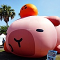 台南安平活動卡皮胖拉出沒注意DSC01613.JPG