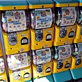 台南安平活動卡皮胖拉出沒注意DSC01650.JPG