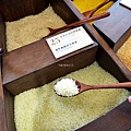 台南安平活動卡皮胖拉出沒注意台南水豚景點安平出張所DSC01353.JPG