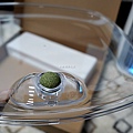 生活好物 寵物家庭 吸毛大師 空氣清淨機DSC00373.JPG