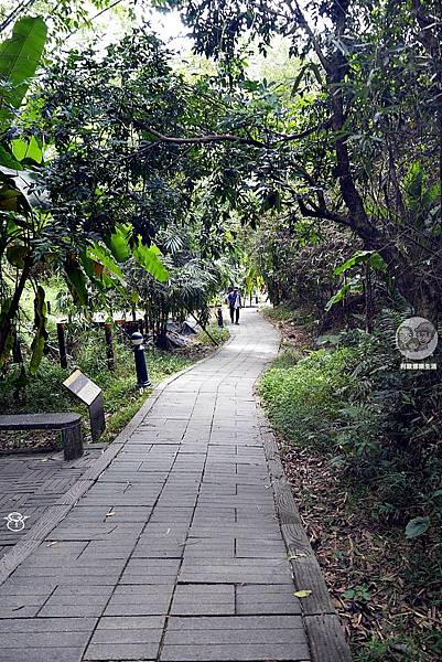 台中新熱點！九號步道終點「觀音亭新平台」明開放！爬山賞景，快來找「沙琪瑪地標」！DSC03974.JPG
