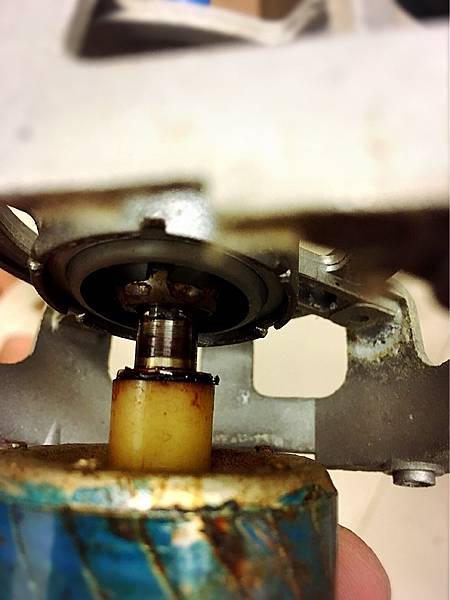 IMG_8869.JPG IMG_8869.JPG