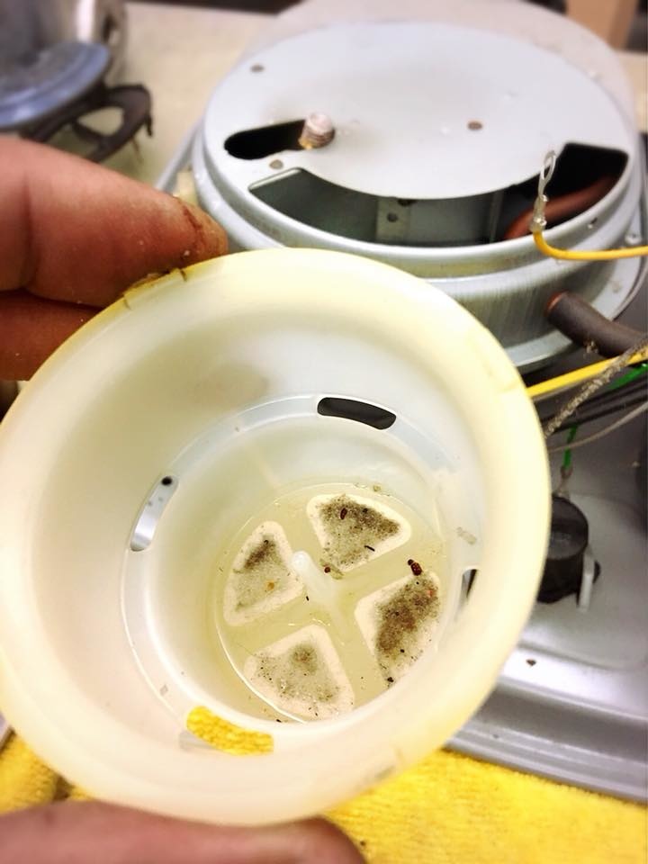 27072388_548817868808837_7052326221468659756_n.jpg 27072388_548817868808837_7052326221468659756_n.jpg