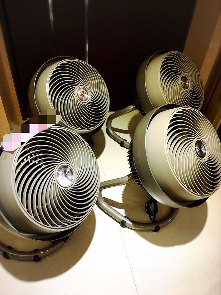 26991596_549929848697639_8914833651492077979_n.jpg 26991596_549929848697639_8914833651492077979_n.jpg