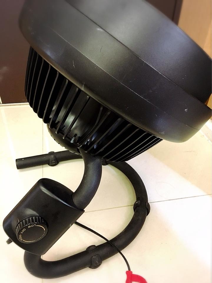 29389153_575580459465911_2983848884332767822_n.jpg 29389153_575580459465911_2983848884332767822_n.jpg