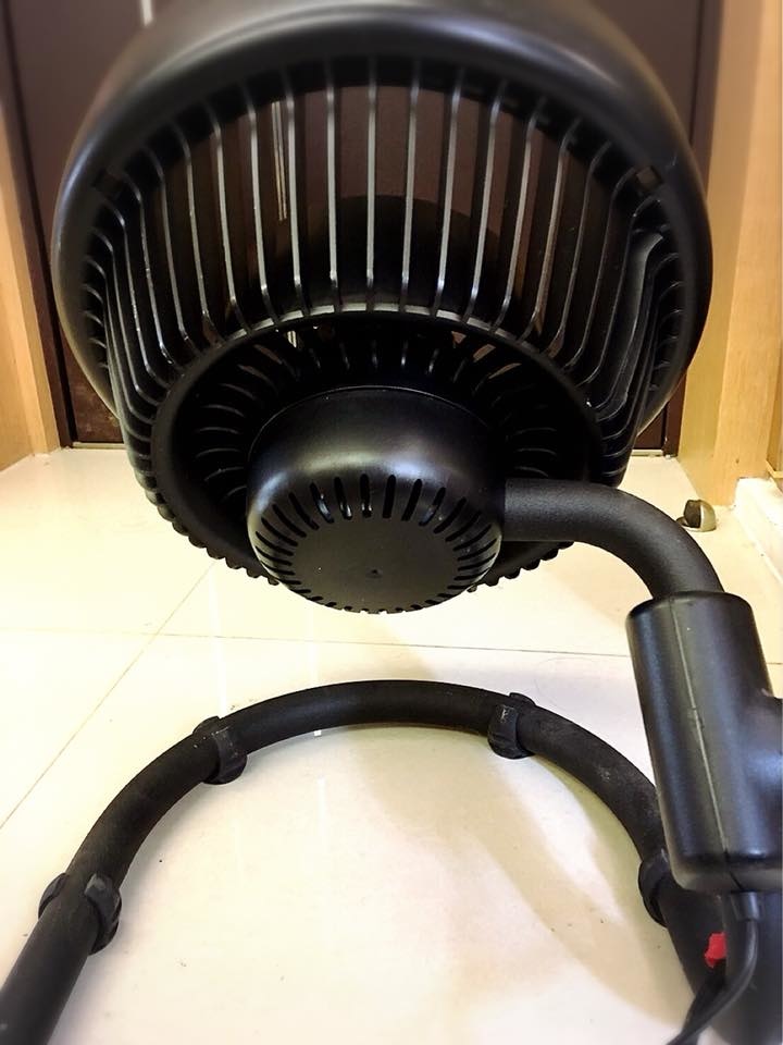 29425209_575580462799244_9036886393486198178_n.jpg 29425209_575580462799244_9036886393486198178_n.jpg