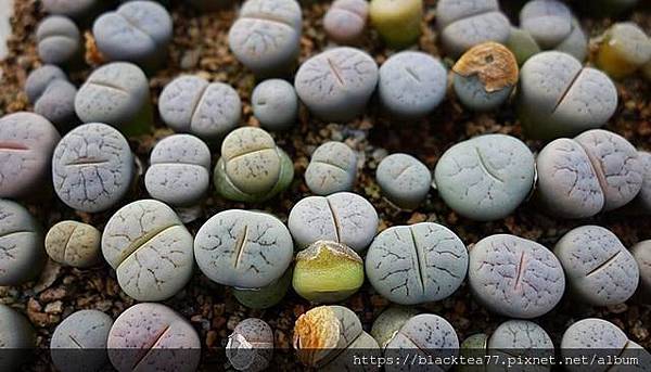 191p0000323o400o7043.jpg 191p0000323o400o7043.jpg