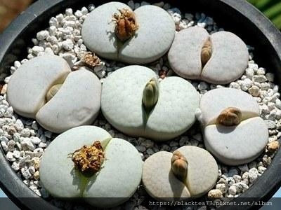 19140001pqoq6r8928o2.jpg 19140001pqoq6r8928o2.jpg