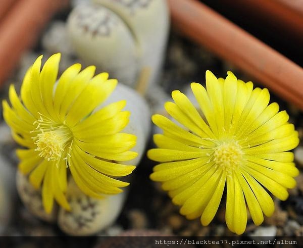 61630002s1q6393o9459.jpg 61630002s1q6393o9459.jpg