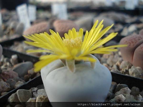 192000002s20r6orsp9q.jpg 192000002s20r6orsp9q.jpg