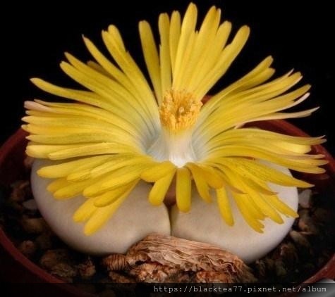 192000002r9096p3rn2q.jpg 192000002r9096p3rn2q.jpg