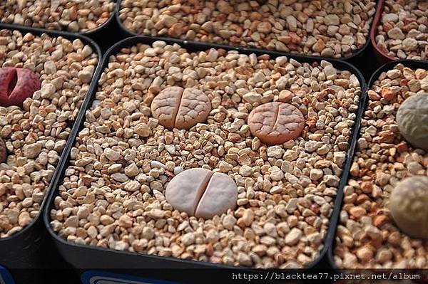 191400021284r889s6n0.jpg 191400021284r889s6n0.jpg