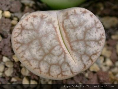 28872248_1992023934159945_9031292890865246335_n.jpg 28872248_1992023934159945_9031292890865246335_n.jpg