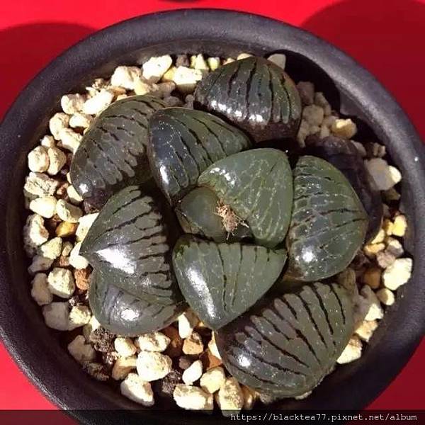 640 (2).jpg 640 (2).jpg