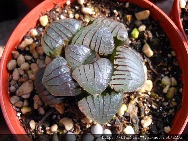 640 (1).jpg 640 (1).jpg