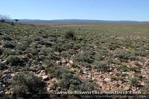 640 (3).jpg 640 (3).jpg