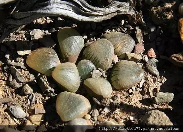 640 (4).jpg 640 (4).jpg