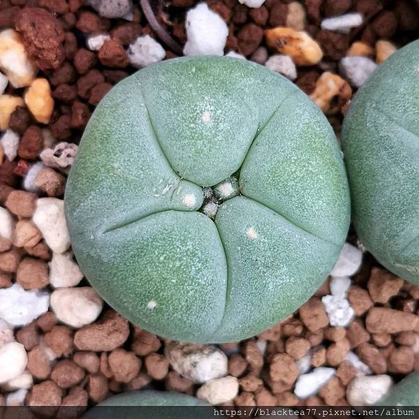 6769cad417e63d2f97ab28c1e8748aa9.jpg 6769cad417e63d2f97ab28c1e8748aa9.jpg