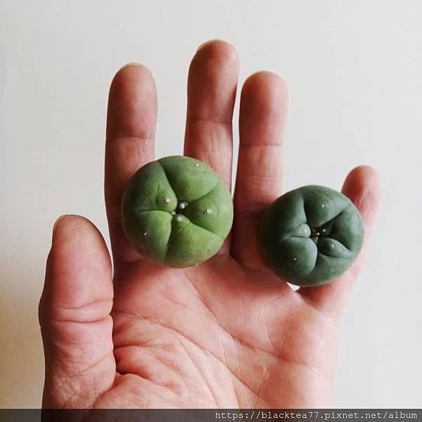 7d1421a0de85b619e90922f8876f0f0b.jpg 7d1421a0de85b619e90922f8876f0f0b.jpg