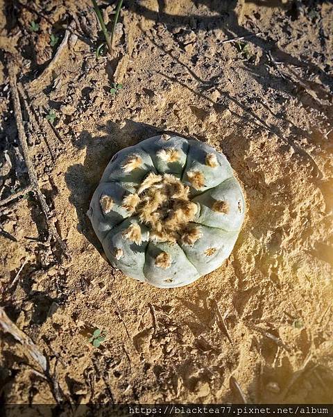 rob.coco_88308078_109585260501763_3881690901147535741_n.jpg rob.coco_88308078_109585260501763_3881690901147535741_n.jpg