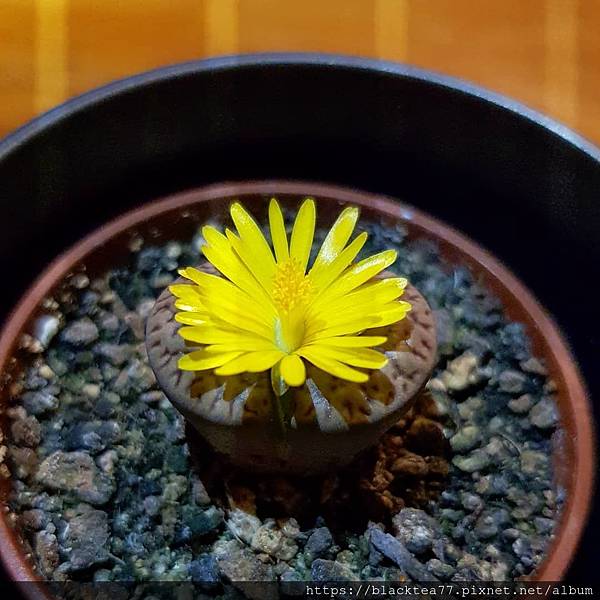 warm_handshake_117556788_1401490150045043_6885006477190176984_n.jpg warm_handshake_117556788_1401490150045043_6885006477190176984_n.jpg