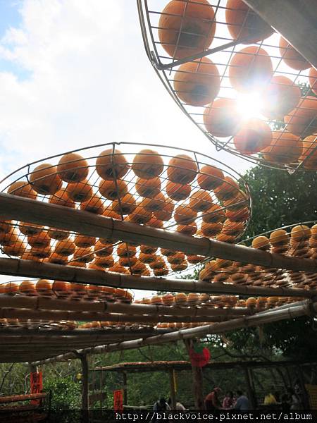 IMG_5737.JPG IMG_5737.JPG