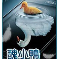 2008.11.01-醜小鴨與天鵝