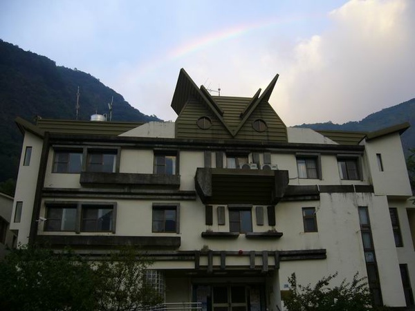 梅山貓頭鷹.JPG